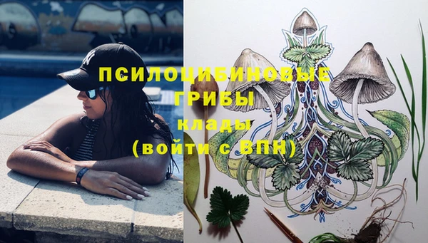 ECSTASY Алзамай