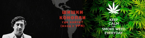 дурь Арсеньев