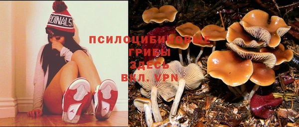 ECSTASY Алзамай