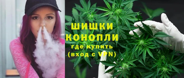прущие грибы Абдулино
