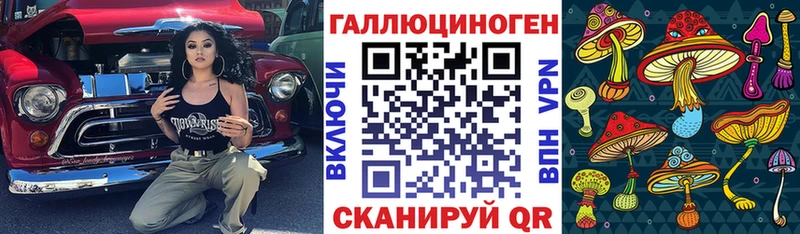 Галлюциногенные грибы Psilocybe  Щёлково 